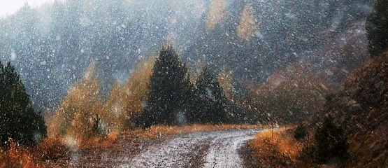 Pixabay.com