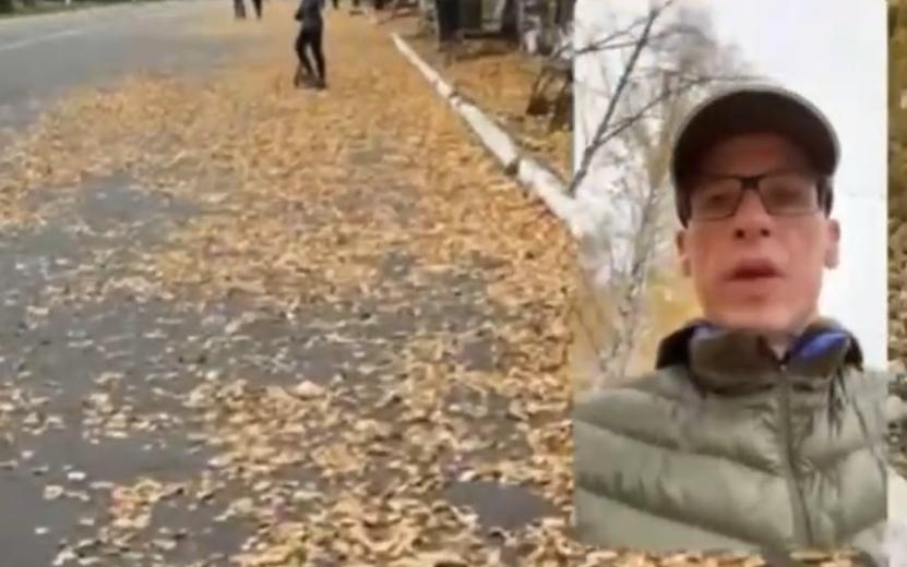 Бречалов: парк им. Кирова в Ижевске могут реконструировать