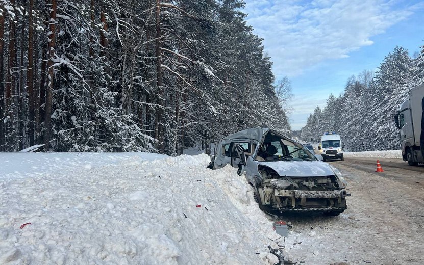 18-летняя пассажирка «Ниссана» погибла в столкновении с грузовиком под Ижевском