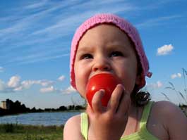 Здоровье ребенка дороже. Пусть втридорога - но малыша лучше угощать нашими помидорками