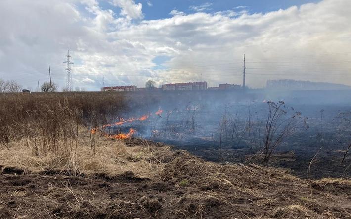21 ландшафтный пожар потушили за выходные в Удмуртии