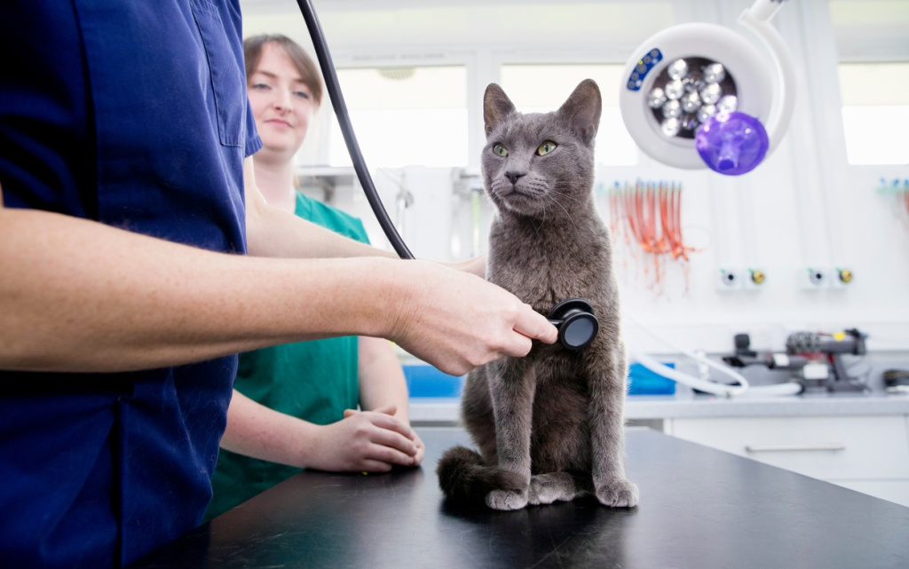 4e38EDgkpXyiQvyNvqVfUnGxOaBDjiC36v02MPvkVxuemNMh1P1nZmEX5TdVk5A6IACa7IJUs9RFiuQmRHM_W-1T (1).jpg