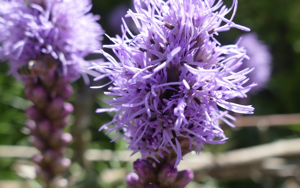 LkoUI0ARwZ7u3ysLH4WiN3T_QDHLcforzhejZ0C7eYpj_ajKE2HoIvqVP3AghZHhQ4YayPivDms97psX1-D6nRNg (1).jpg