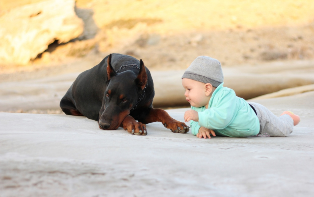 0X5lYYTuax5vmo0vxWxuBejfTxsqIJN8Zwofq8g5yqUcqC2NIIyHdELSl_1L4cuW0Vb9iSaodxu4diegq29JNQVv (1).jpg