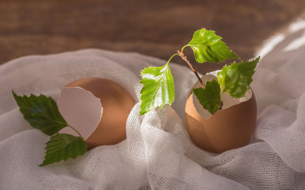 eggshell-and-spring-leaves-.jpg