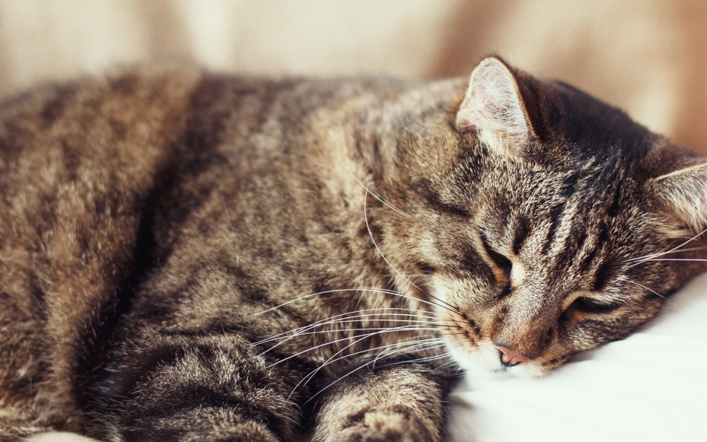 ZKGOdwRfOqlXPNMiZ7hQTXomJpzTvaFQPZIc2I-KZOZj_ZNYRY1PESAlx4TlNwZpoO_uG9_LF2jWlTjIEbLnatNG (1).jpg