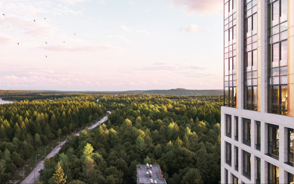 вид вдаль с верхних этажей на пруд (1).jpg