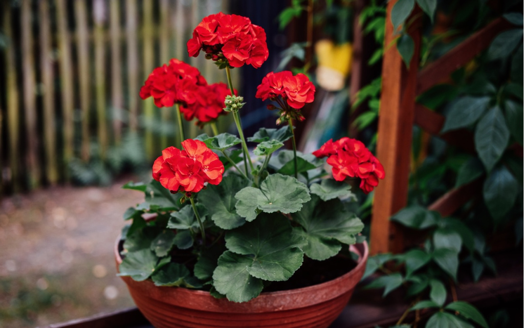 iR3iP-G5rzpikjM1lhAAsgRsBZYHTRSiWUgTZraClmEvQlwiZ04YHRSctkqyTr3tNhr05UJOwVnz9FJ5I7zt8Mpw (1).jpg