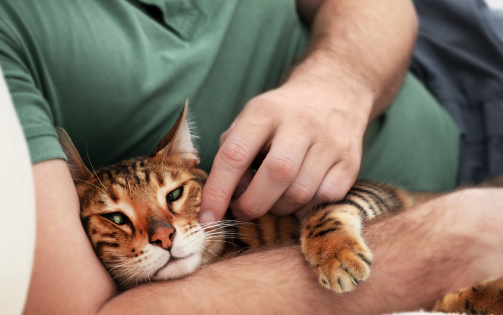 Npu9QuVRmvjaROz3TqLE88_uZfRkTjdj2e1UUkMaOSyiVT5cX03YWDE6QtCyPwmO_K8NZnS3yFiV49goPTJGJ02f (1).jpg