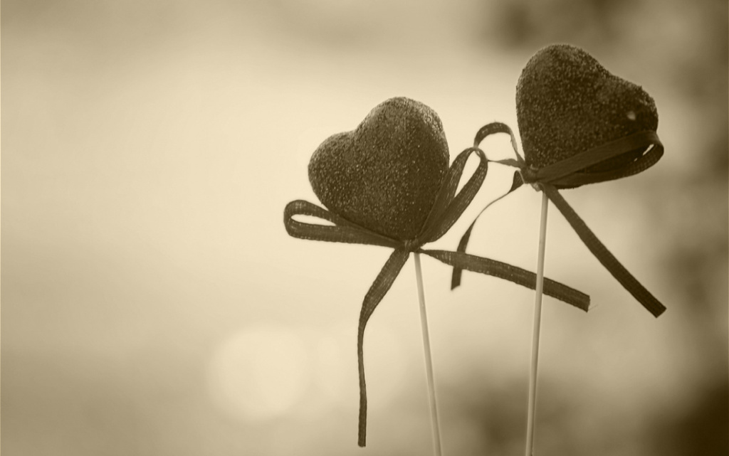 two-heart-decorations-with-ribbon-on-sticks-2026-03-27-02-01-57-utc (1).jpg