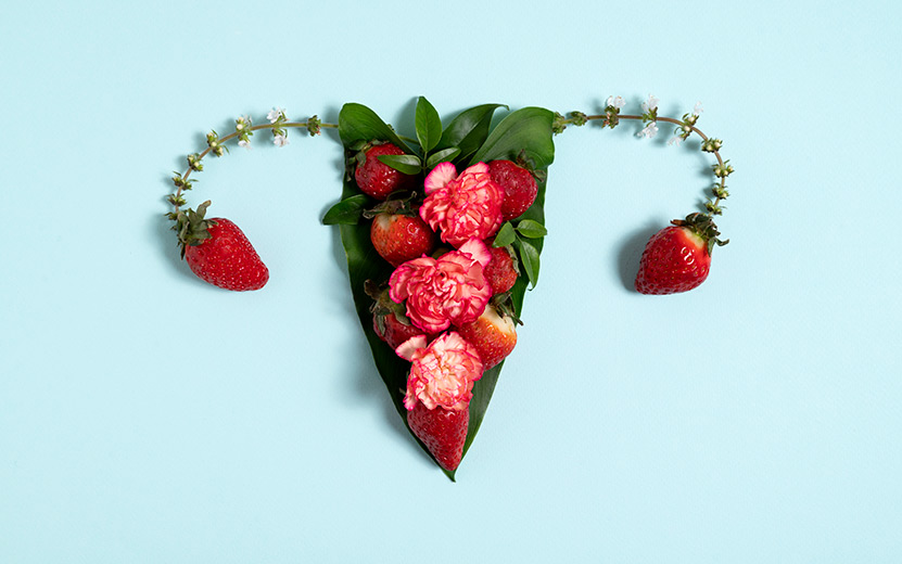 flat-lay-reproductive-system-with-strawberries.jpg