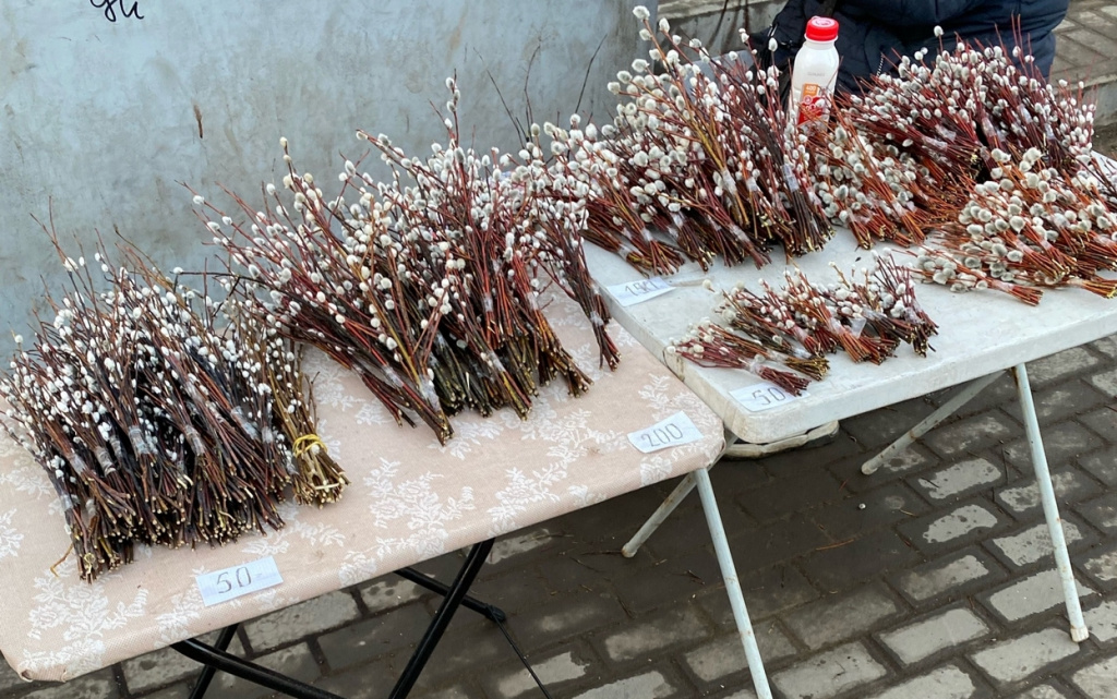 Wcny6Y7HmiuAO2SFO2LKfXqZwODnnsFuHKWD4-ou_pRFcI2CnChb2ygYs5dxBQNHRpEGMH8c1cQWbxkbB45xysY0 1246.jpg