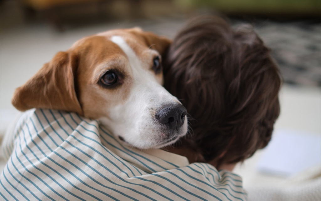dog-cuddling-with-child-indoors-at-home-2026-09-23-18-46-19-utc (1).jpg