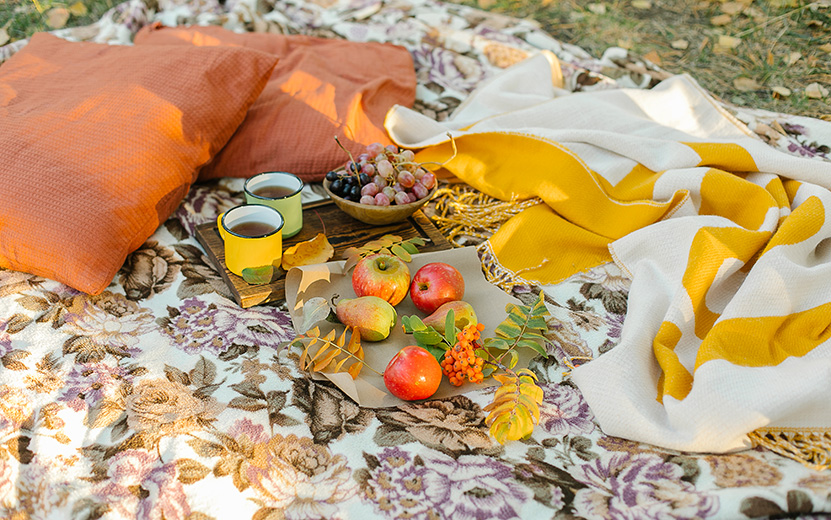 autumn-picnic-on-nature-cozy-autumn-outdoor-conce-2022-01-28-10-26-47-utc.jpg