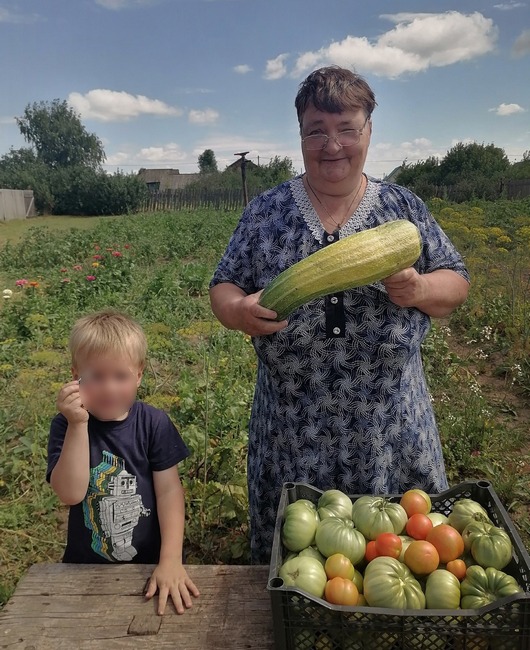кабачок Лена Колегова.jpg