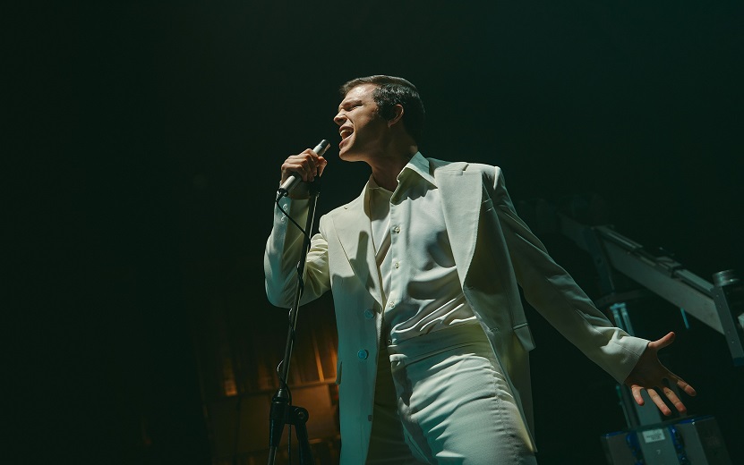 Wink_Васильки_004 (1).jpg