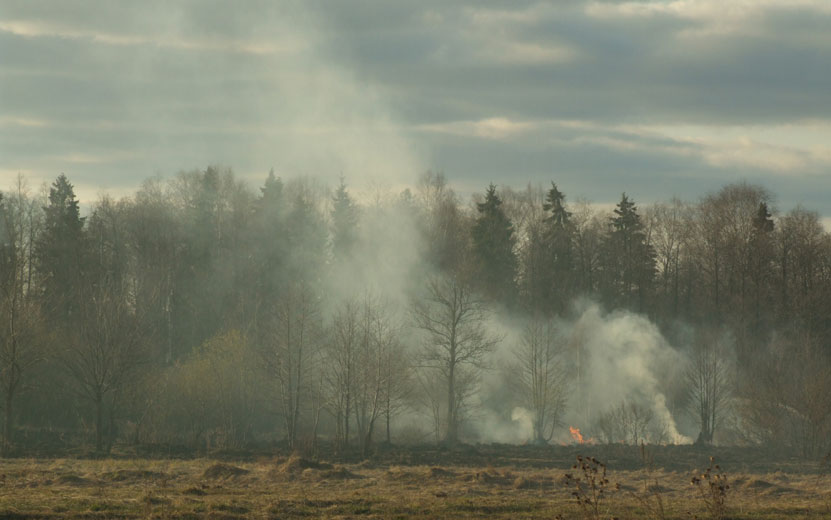 лесной-пожар-возгорание-лес.jpg