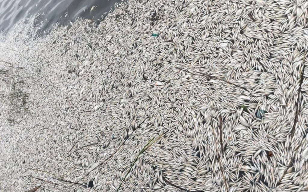 Без названия (20).png