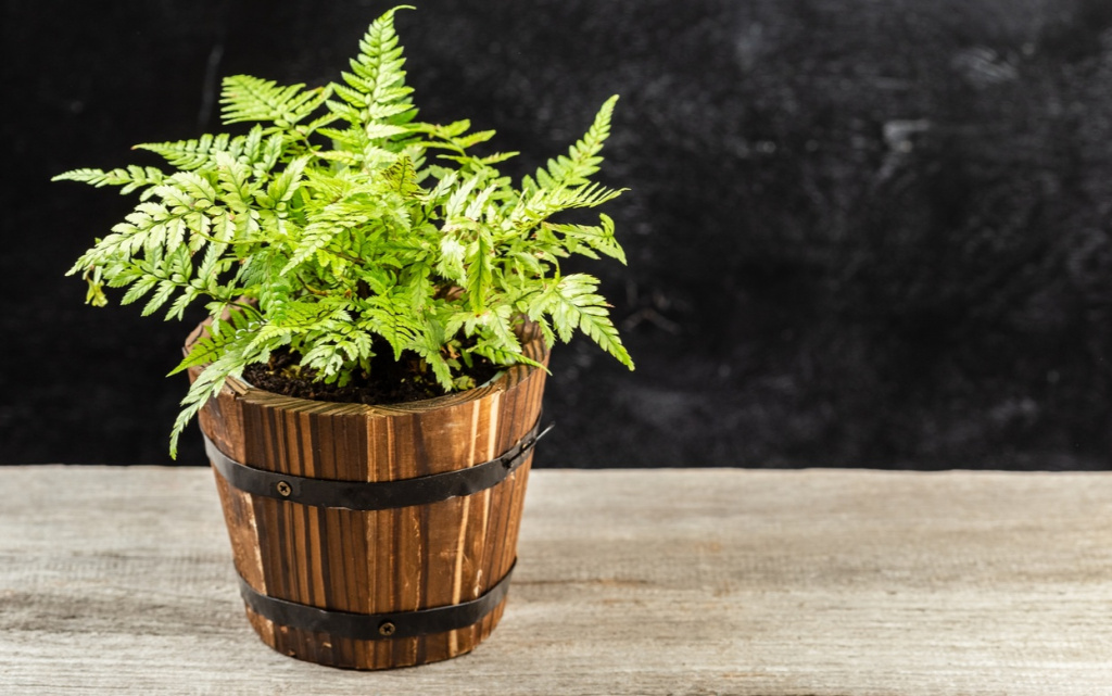 SmO1QNiMD0-IFGu4OL6kTKZKOL4B9fH4r1vzOduZQuR7fdada_cwxvhOwuAXCR3YSCrEo-l4uerR3EcM-2Swljj3 (1).jpg