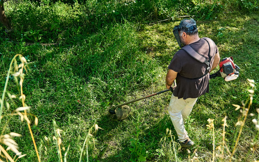 gardener-mowing-weeds-in-th.jpg