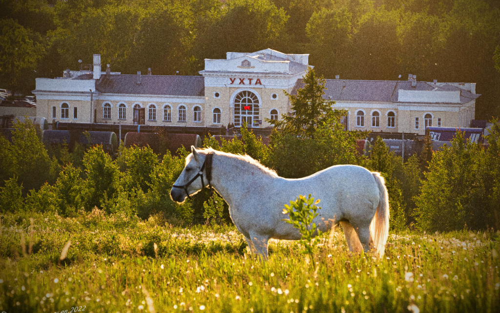 УхтаЛошадь (1).jpg