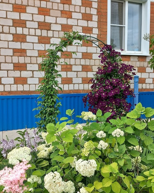 0108 цветы Ирина Поздеева.jpg
