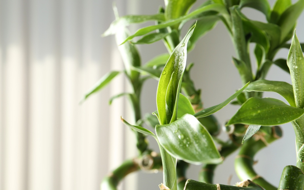 dPi4jGb62z9aDYZYv16kGSxjPz268VwIqf33XQrtnoYIKxz6TCUkDj9UlPfS9W2RtHf_xGNY-D77ymnysbEcMUag (1).jpg