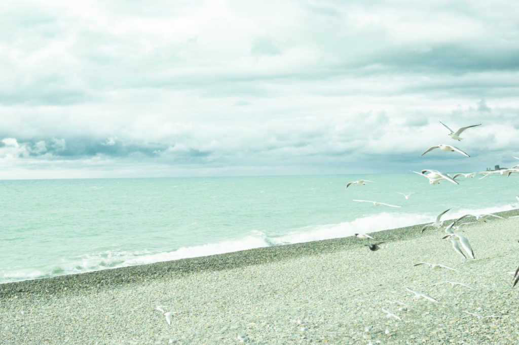 Черное море