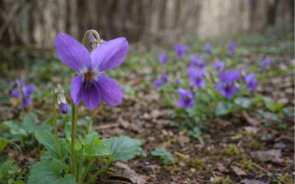 ChatGPT Image 28 мар. 2026 г., 08_37_18.jpg