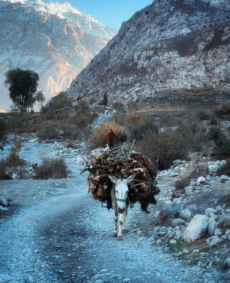 photo_5456169274671495875_y (1).jpg