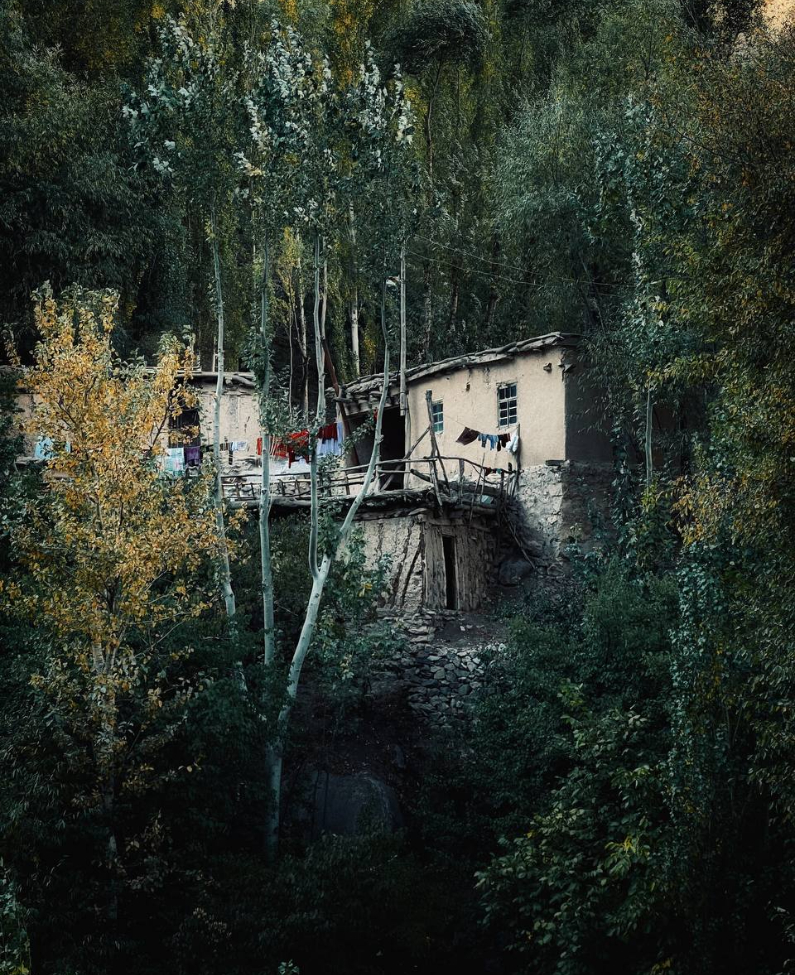 photo_5456169274671495878_y (1).jpg