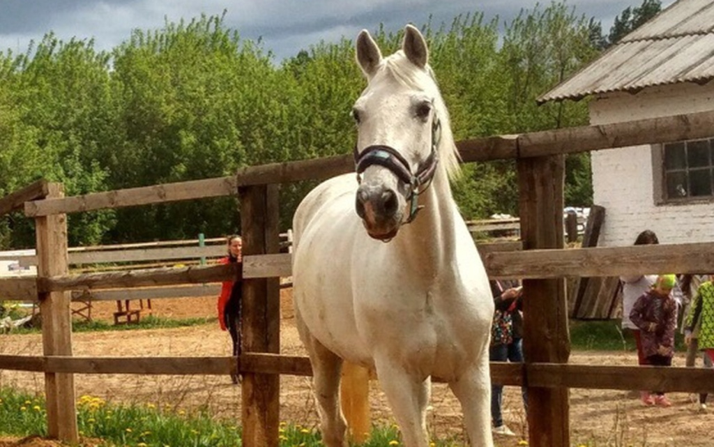 6mGPYB0unaZehg221NKW42hg7V9G855aIbMf30_0LkUIoCiCrlItontZRl-ipL2OFOCcNMaQ (1).jpg