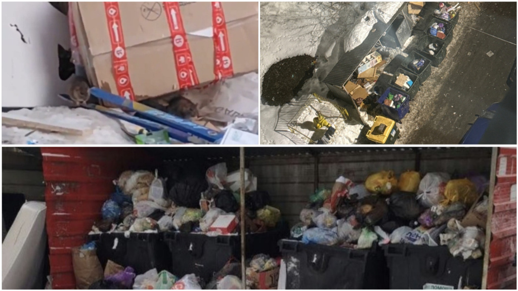 Фотоколлаж помойка.jpg