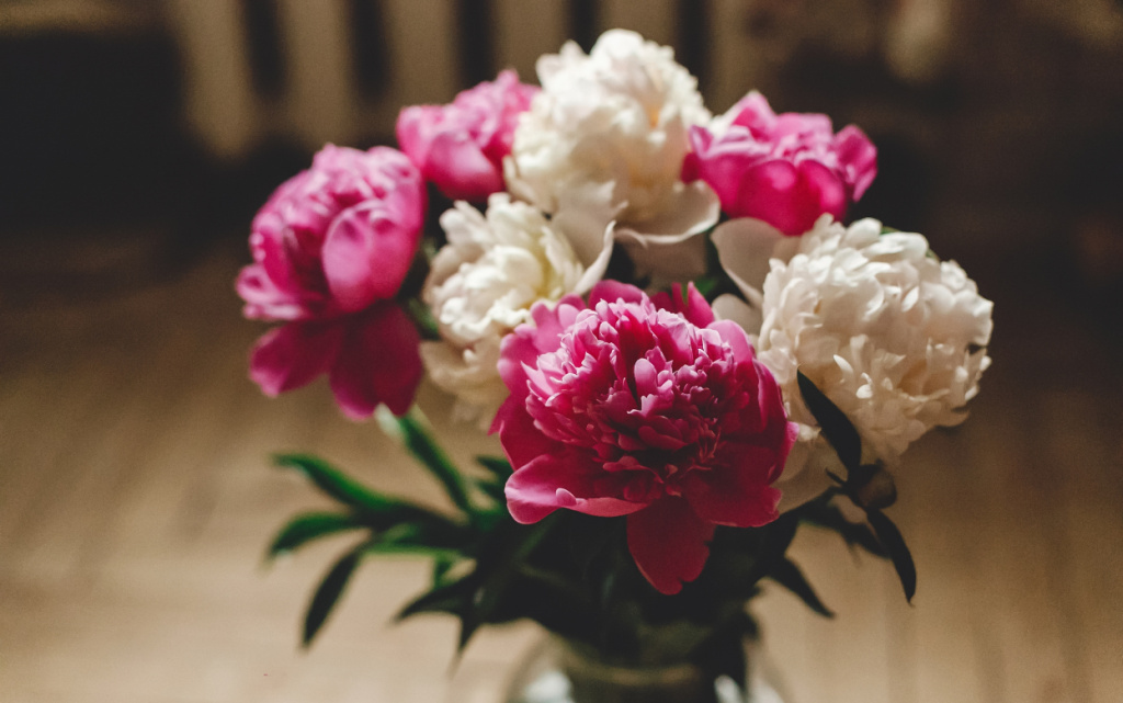 j-GINI_ZWBCmBov7JvMtSBwFNa9x4GssdTbAhJ5Po6N4JuQibFcRGQHobqXmmVhG_J0WJp6M5PkzFCaHLQqPr7-0 (1).jpg