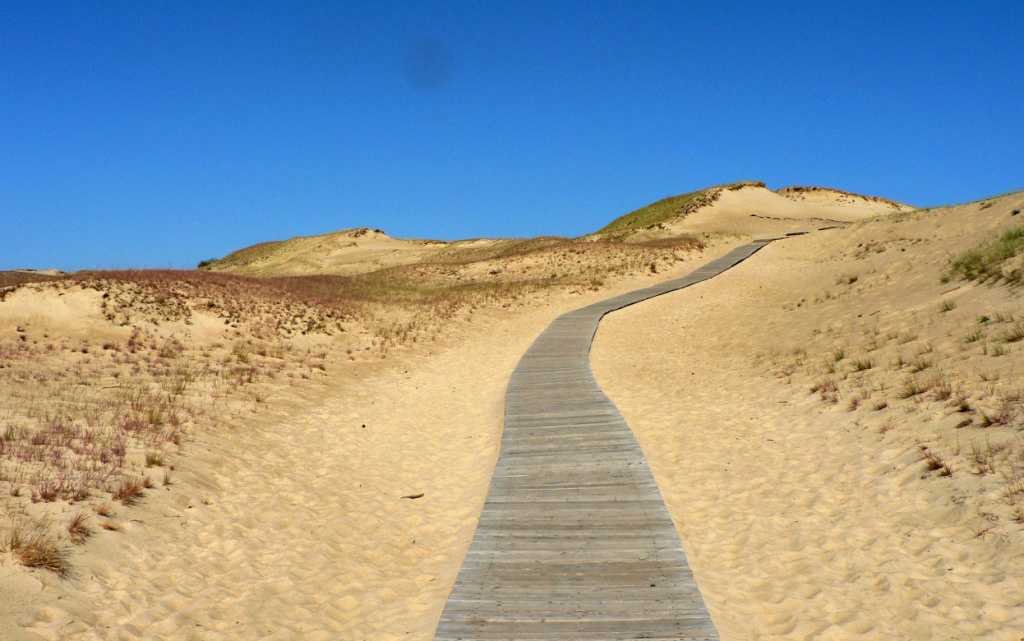 Lithuania_Juodkrante_sand_dunes (1).jpg