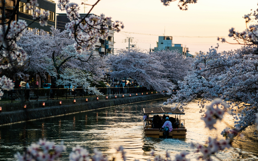 kristin-wilson-wJvUBkLU0pA-unsplash (1).jpg