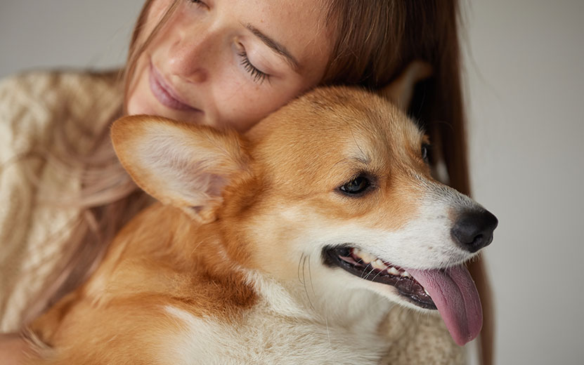 girl-hugging-corgi-dog-caring-for-animals-and-lov-2024-06-05-03-03-41-utc.jpg