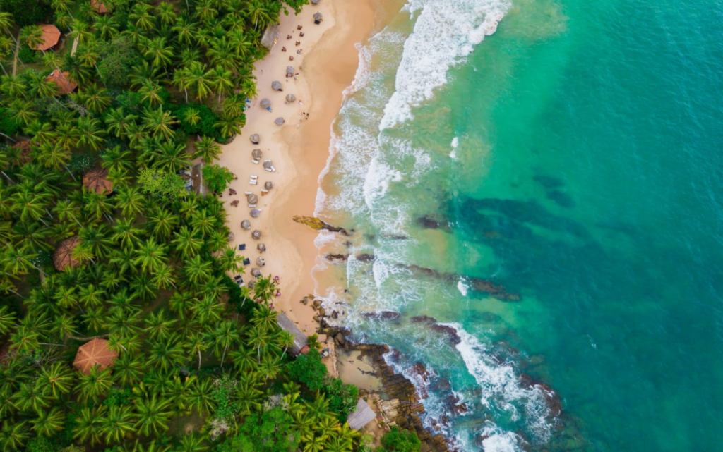 шри ланка.png