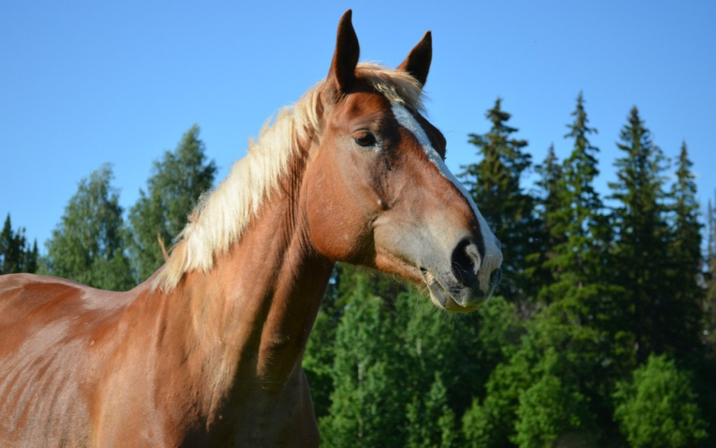 BGpcaiehZJdI3IbSmMWNXXF0PQZD1fxUY7aOp4XZxoFgc8bpf-RKIt_6YG_IU-TPw3j67X0x (1).jpg