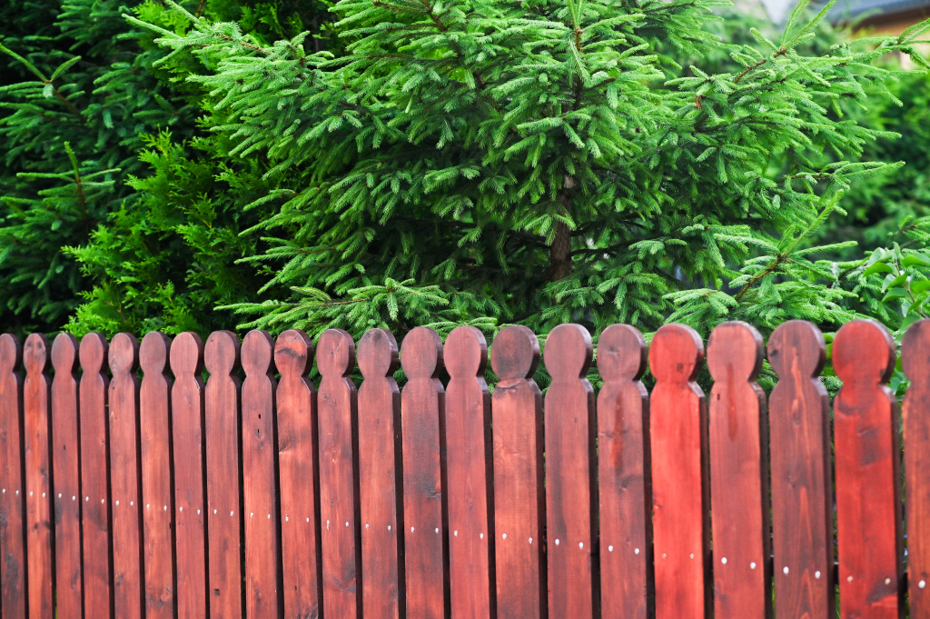 wooden-fence-and-green-trees-in-garden-2026-01-05-00-10-31-utc.jpg
