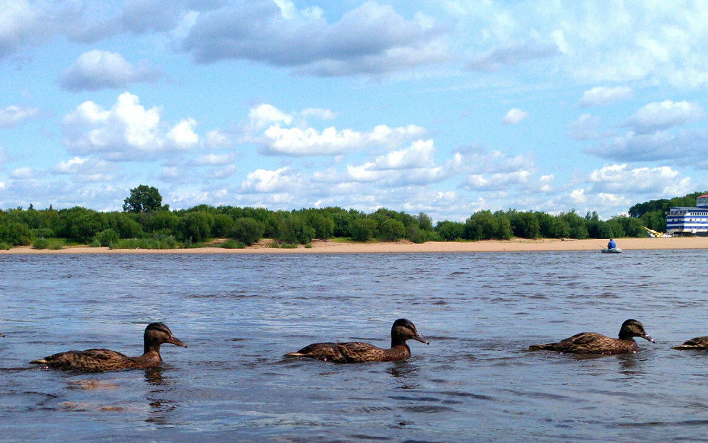 2019-07-16_12-19-00 (1).jpg