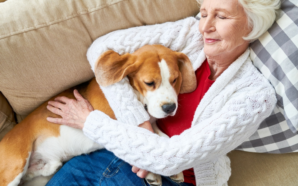 senior-woman-cuddling-her-dog-on-sofa-2026-03-23-23-52-02-utc (1).jpg