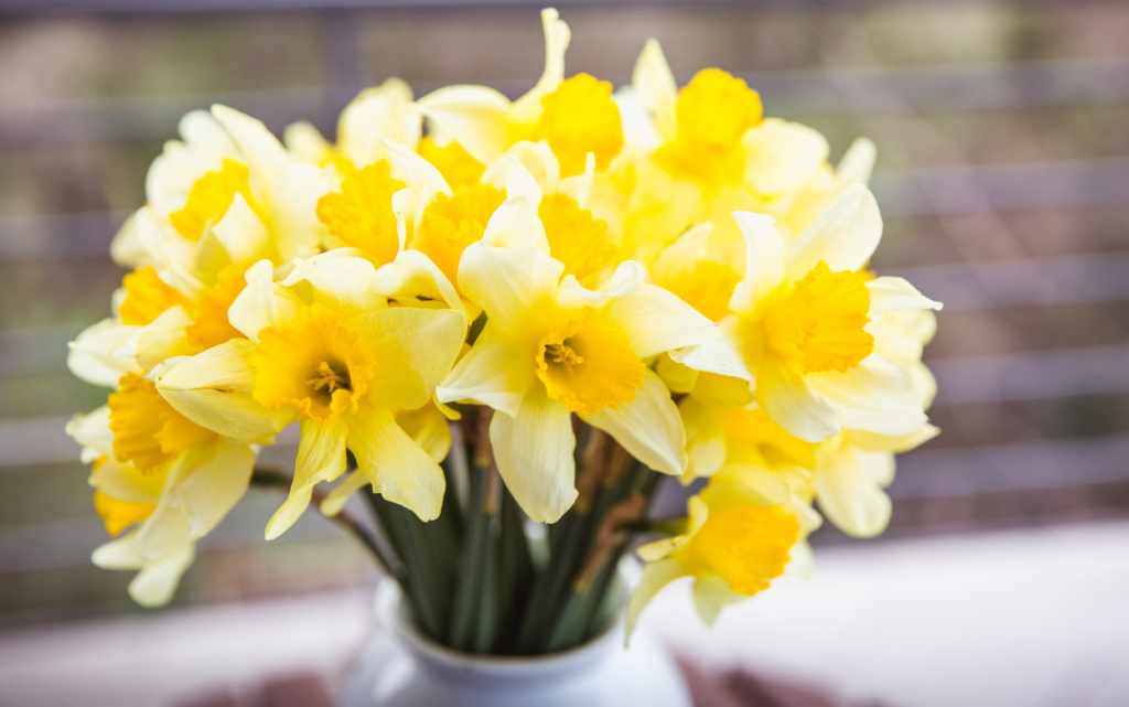 L1lDLaDNQBcUSipUlLOKF59A3A6vKmiV0vrnEnMmw-4rbtup-8tCasw6m30jgCqps_CF21NeZj9LDnJiqIMFZoFy (1).jpg