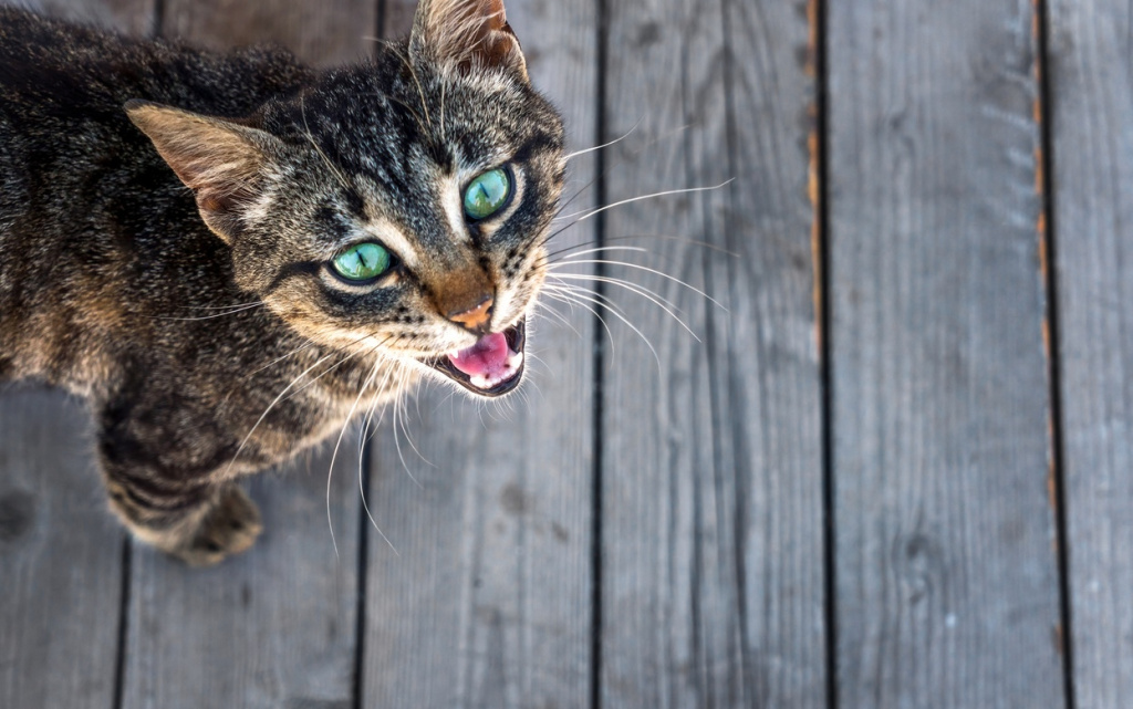 QvNnqwXanBjWMzdvtJOH5gfe2iPeKBTEOvIW5WVRGlWDctpqAH0H4LZoPlWu_Ufou8aFtbeAdDdPqgdv8nYrqZjb (1).jpg