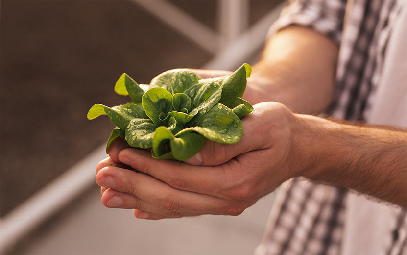 farmer-with-green-seedling-in-hothouse-2022-11-23-00-44-30-utc.jpg