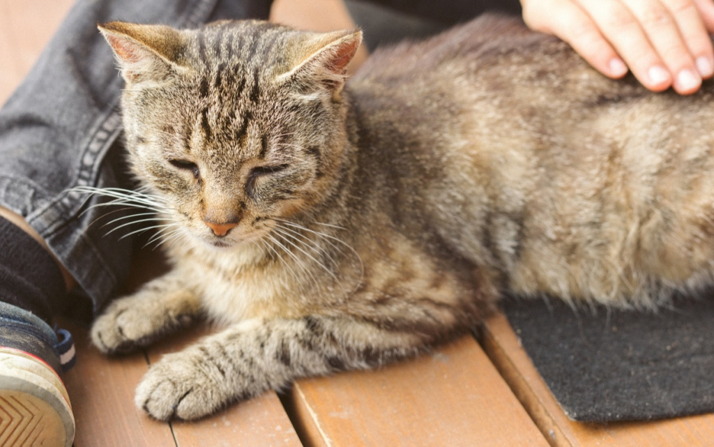 UefnJGGXchDLnz4pxHGNStOw5XPUvQ7bfDJKe_jhO5Fqf_Z_cmYhgsynZyQPeyCHwxfEGkr913waCJqGkLo3Tgy2 (1).jpg