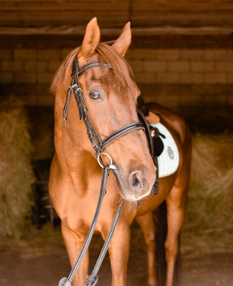 kdYNDF1CfmHAgkLvNktcH3AqrHhzrHkyf68IZwMZilJX7hQ9e3web6lN2wvt_ZdNAfSLTzWLx2PjSAyzXvc8JQGk (1).jpg