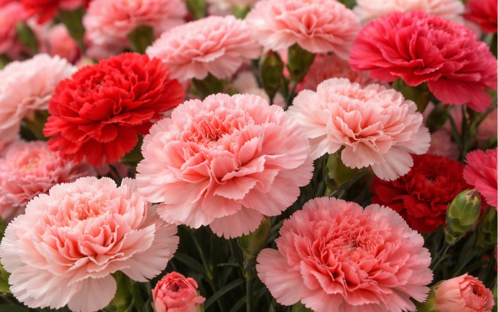 ChatGPT Image 5 апр. 2026 г., 10_26_55.jpg