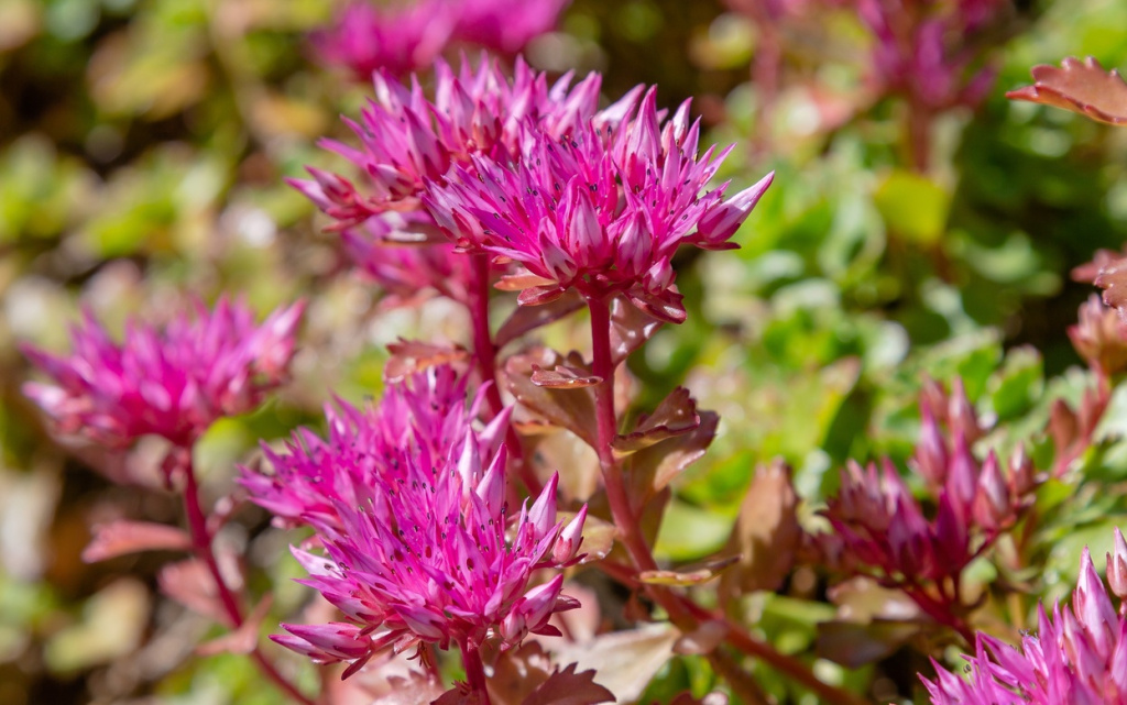 hfv5IGWFOo3nzWHJm_Gf_ncnYaFD194x9o-1x4rVlwzvUantvk5W5VeZoyumVPq9N8BH4PNy4BlOcutCR9ZaHTQ_ (1).jpg