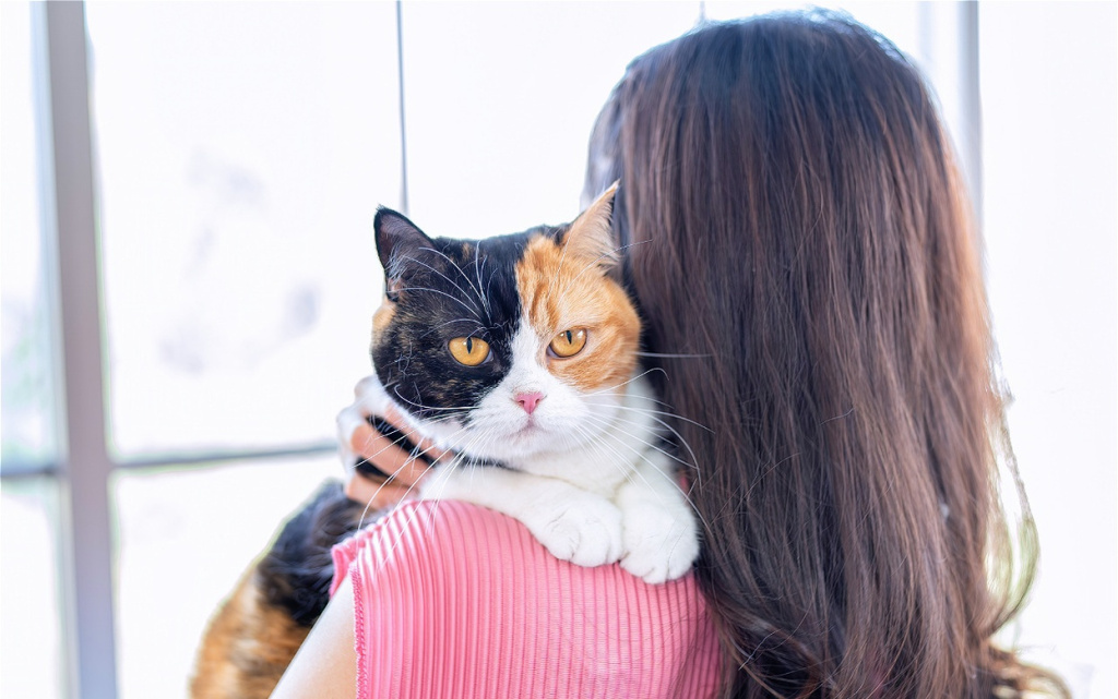 woman-holding-a-colorful-cat-indoors-2026-03-09-23-58-14-utc (1).jpg